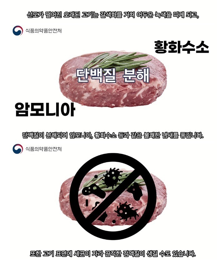 2_6.jpg